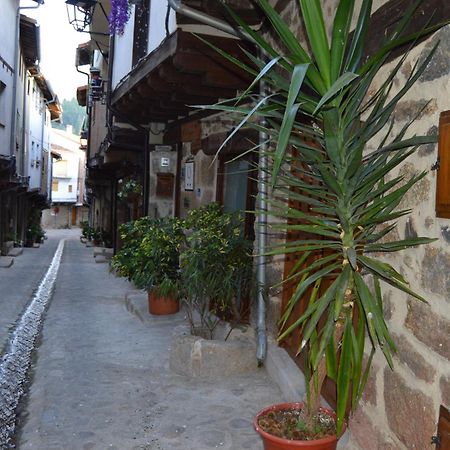 Casa Apartamento Rural As Andurinas サン・マルティン・デ・トレベホ エクステリア 写真