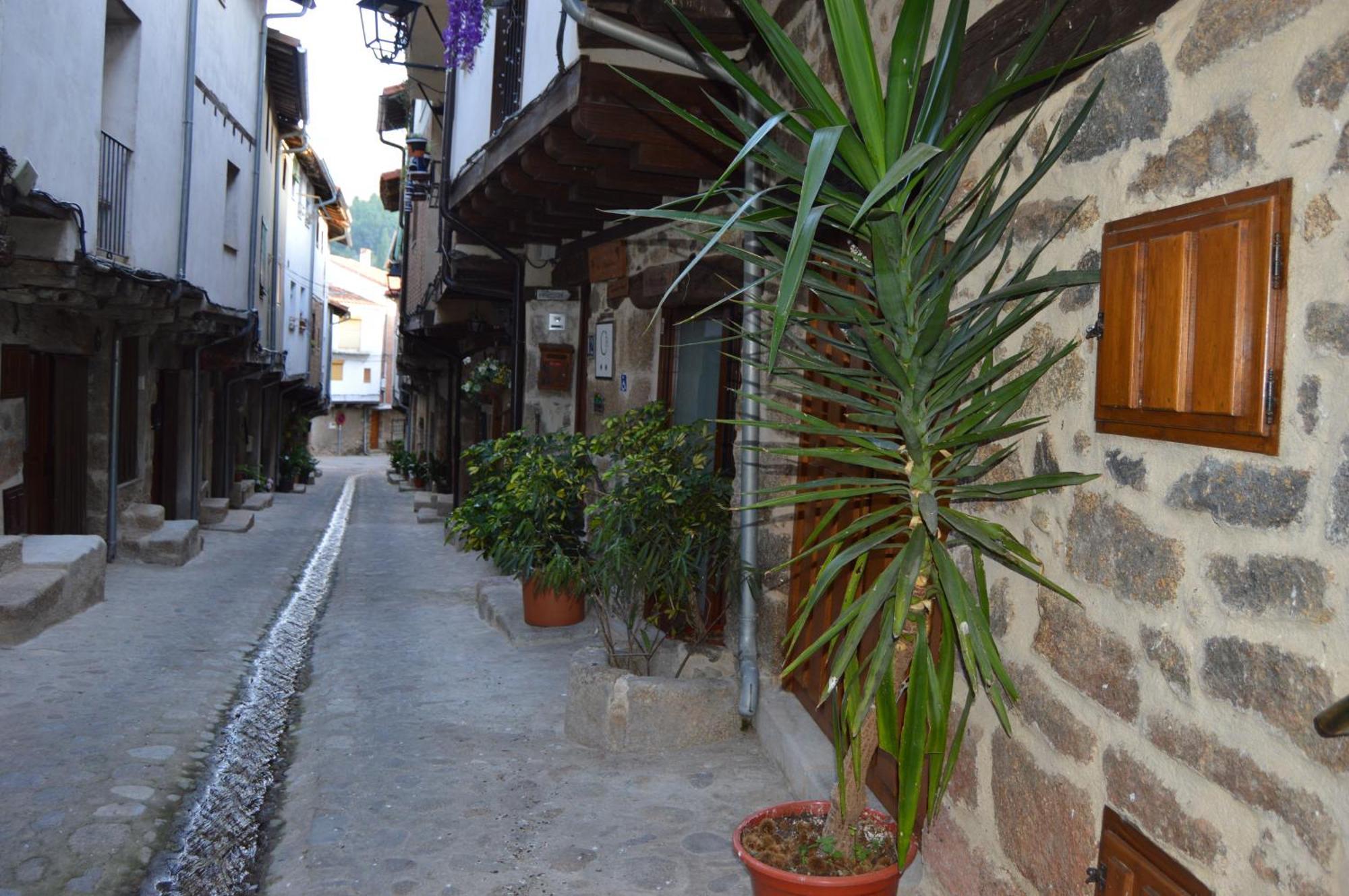 Casa Apartamento Rural As Andurinas サン・マルティン・デ・トレベホ エクステリア 写真